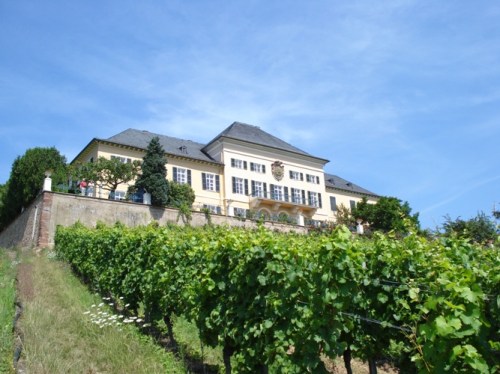 28-Rudesheim_Schloss_Johanniserg