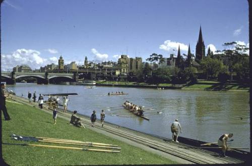 1956-Melbourne Rowing