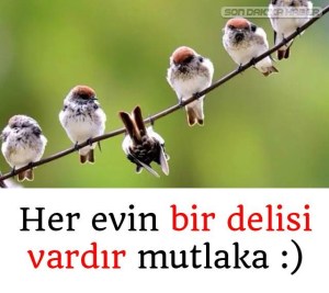 Her evin bir delisi vardır