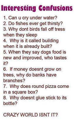 Saçma Akıllı sorular