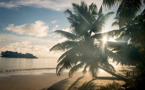 10639588_10153029611277512_8936000866859270557_n