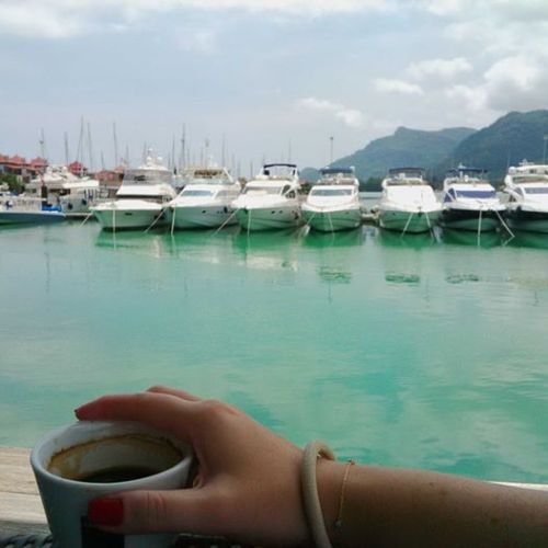 10947323_10152972582052512_2257477848260241377_n