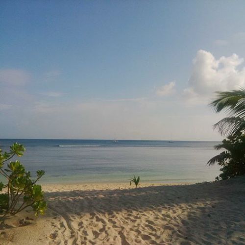 10995386_10153027068247512_8169341619477743917_n