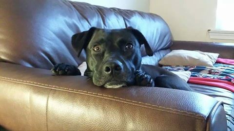 Bana ilgi göstersene