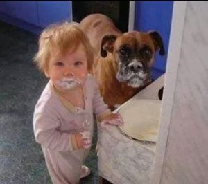 Bebek ve köpek suçüstü