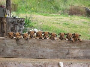 Kizlar_duzgun_poz_veriyoruz_Hadi__c31fa