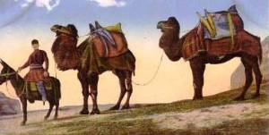 ?????????????????????????????????????????????????????????